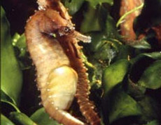 fact7-small.jpg
